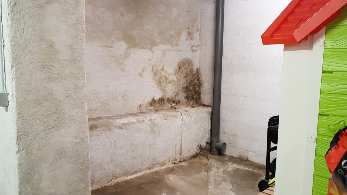 Infiltrations d'eau - Expertise humidité à Le Mans